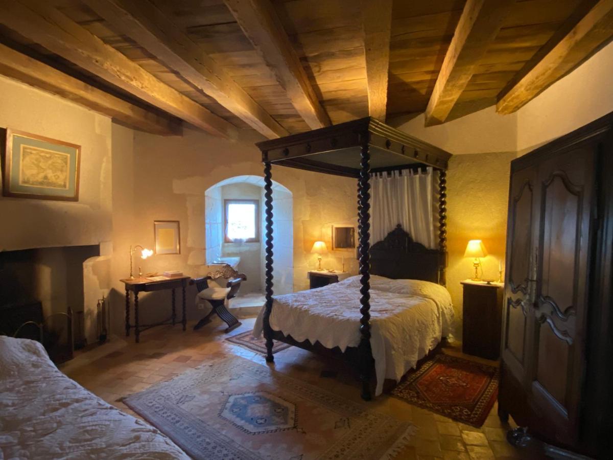 Chateau D'Ingrandes Ingrandes  Eksteriør bilde