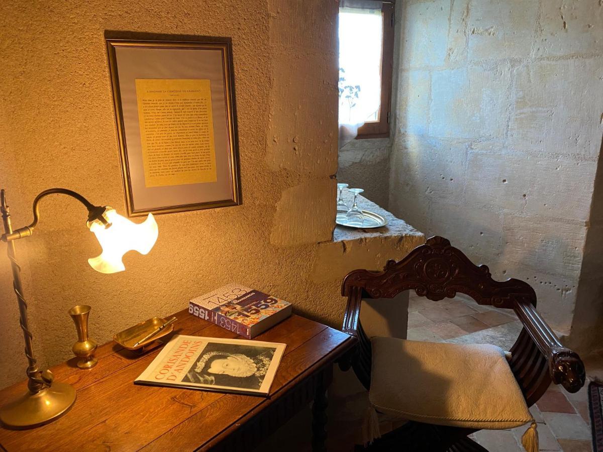 Chateau D'Ingrandes Ingrandes  Eksteriør bilde