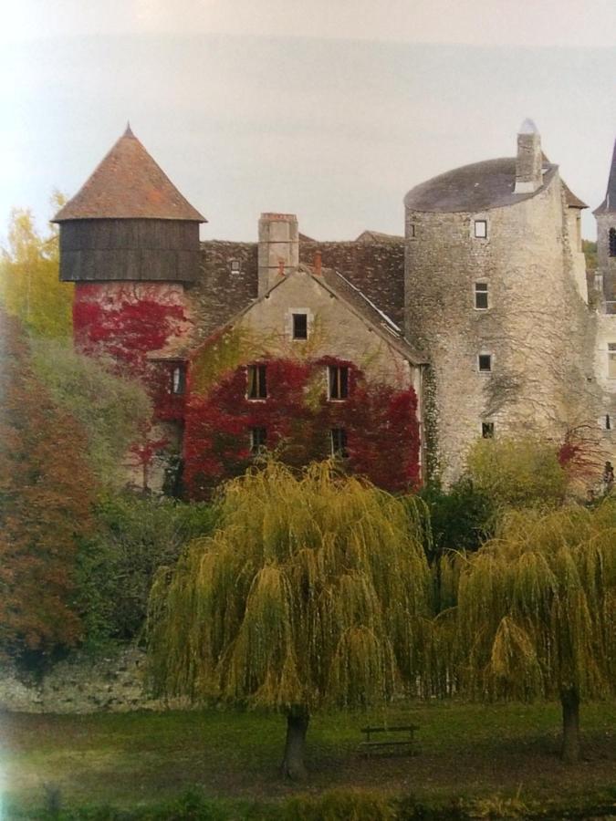 Chateau D'Ingrandes Ingrandes  Eksteriør bilde