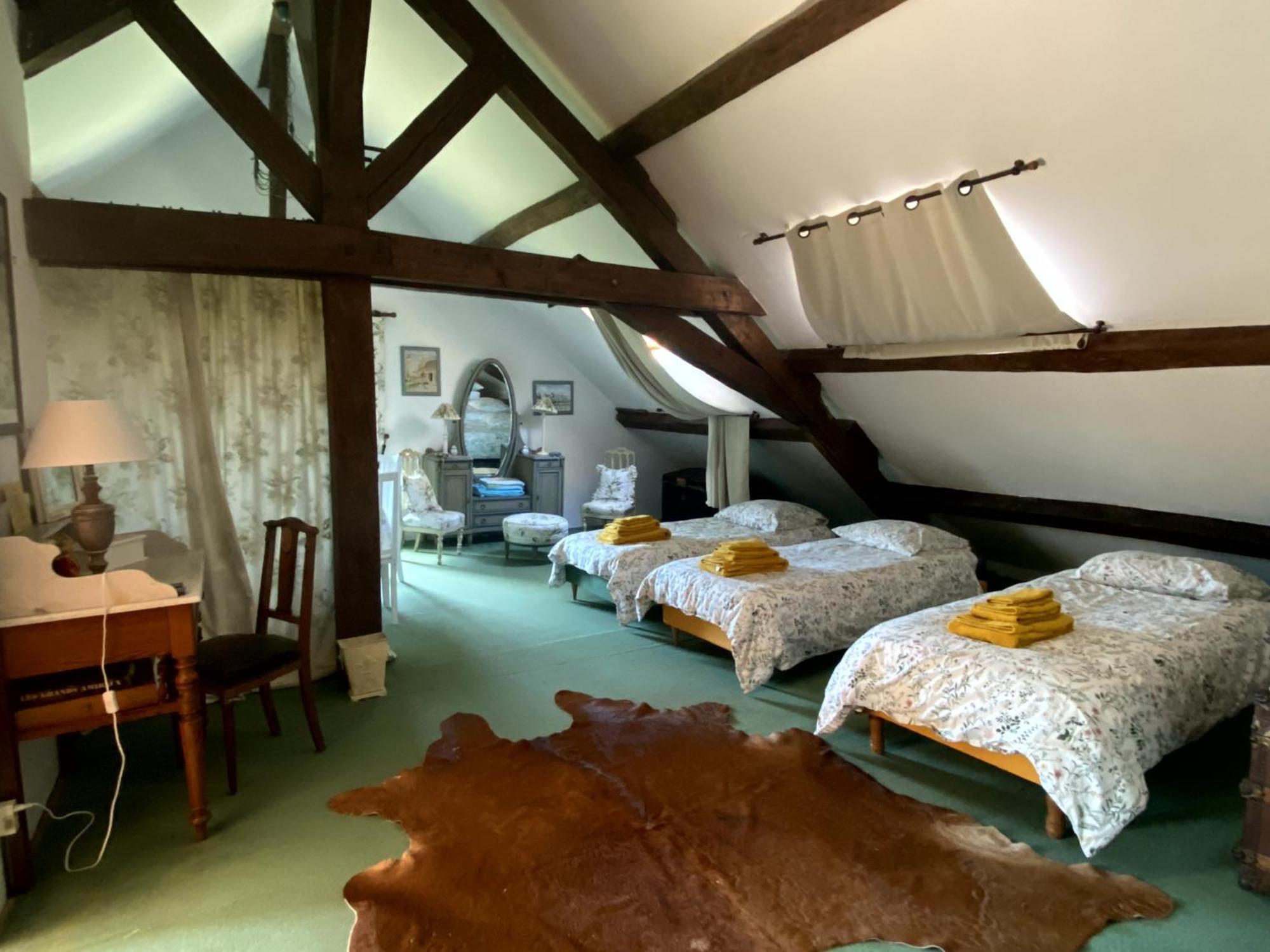 Chateau D'Ingrandes Ingrandes  Rom bilde