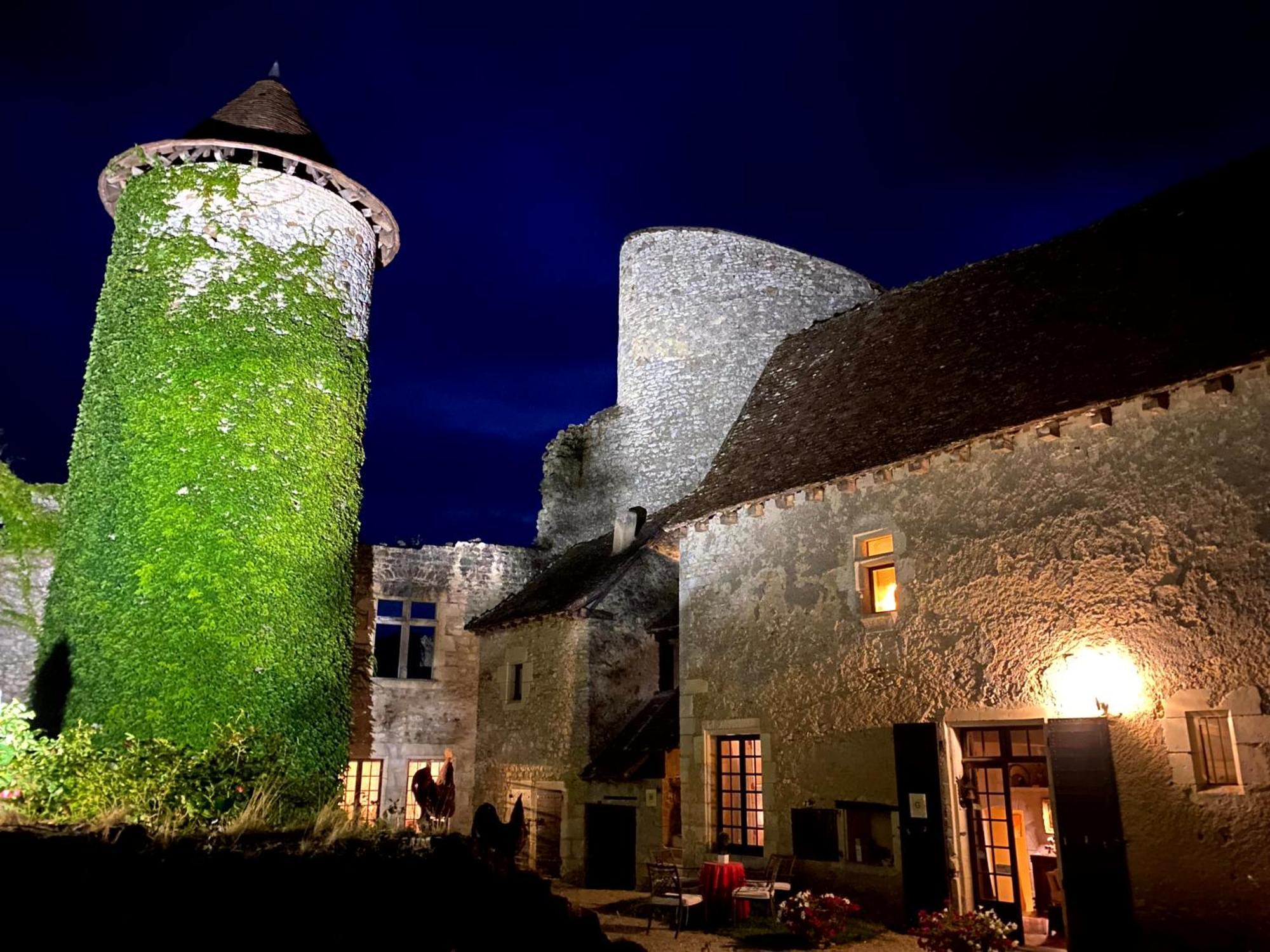 Chateau D'Ingrandes Ingrandes  Eksteriør bilde